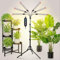 JINHONGTO 54W LED Pflanzenlampe Vollspektrum, Pflanzenlampe mit 4/8/12H Timer, 6-Kopf Pflanzenlicht mit Verstellbarem Stativ-Ständer, Wachstumslampe für Saatgut, Setzlinge und Pflanzenwachstum