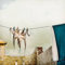 Kunstdruck/Poster: ambra Tote Hosen - hochwertiger Druck, Bild, Kunstposter, 70x70 cm