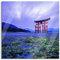 Pixxprint Glasbild, Wandbild auf Echtglas, Torii in Hiroshima Japan, 40x40 cm, inkl. Aufhängung und Abstandshalter