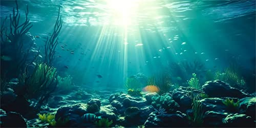 MIRRORANG 76x46cm Unterwasser-Thema Aquarium Hintergrund Sonnenschein Unterwasserwelt Aquarium Hintergrund