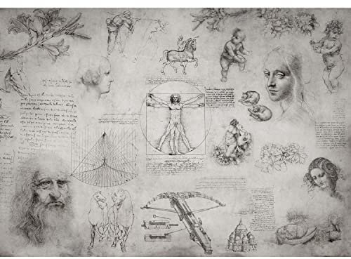 Runa Art Fototapete Collage Leonardo Da Vinci Modern Vlies Wohnzimmer Schlafzimmer - Made in Germany - 308 x 220 cm Grau 9319010c