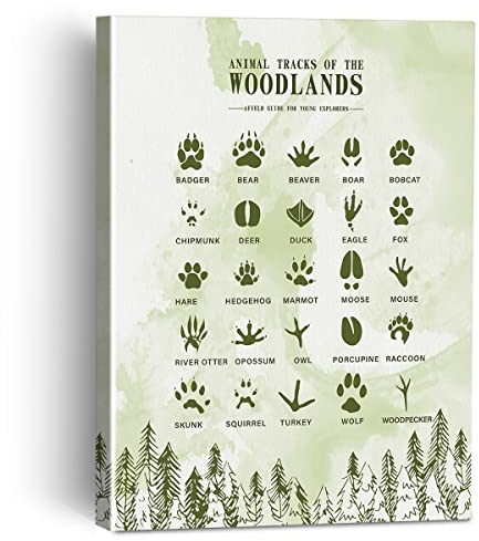 Animal Tracks of the Woodlands Leinwandbild gerahmte Wandkunst Dekor für Wohnzimmer Schlafzimmer, Waldkunst Aquarell Leinwand Poster Druck dekoratives Geschenk