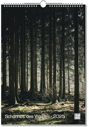 artboxONE Kalender 2026 Schönheit des Waldes Wandkalender A3 2026 Natur