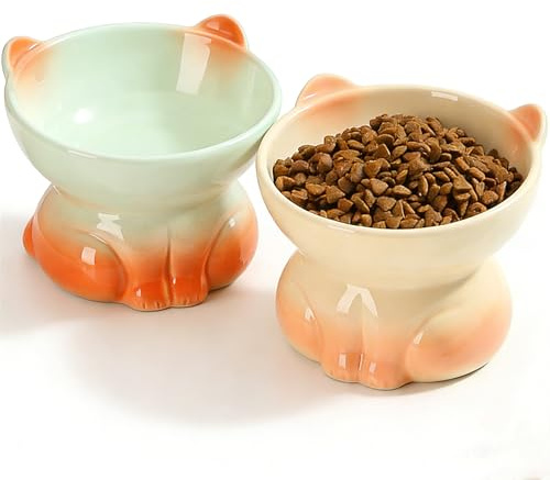 Gezipvn 2 Pcs Elevated Cat Food Bowl, Ceramic Raised Cat Bowls, Cat Feeding Bowl Neck Protective Bowl, 14° Tilted Raised Cat Feeder