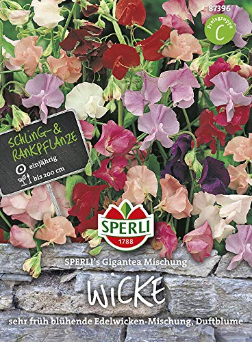 Sperli 87396 Wicke Gigantea Mischung (Wickensamen)