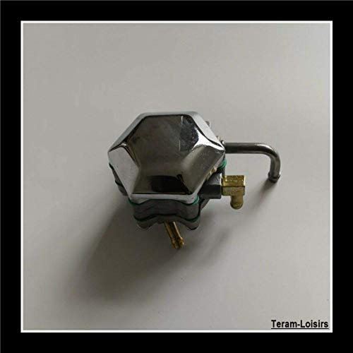 TERAM LOISIRS Pompe à Essence pour Yamaha XV 125 et XV 250 VIRAGO de 1988 à 2014 NEUF FRANCE
