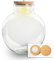 urbanjngl.com - Terrarium mit Lampe - Geschlossenes Terrarium ↑ 30 cm Bottle Bolder Bob led