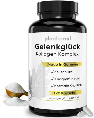 10-fach Komplex Gelenkglück - Kollagen Kapseln hochdosiert mit Hyaluron + Vitamin C für den Knorpelaufbau - Gelenk-Kapseln - Collagen Kapseln hochdosiert - 2 Monatsvorrat