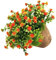 RORPOIR Plantes Artificielles Décoratives en Plastique Bonsaï Fleur Orange pour La Décoration De La Maison Étagère De Fenêtre