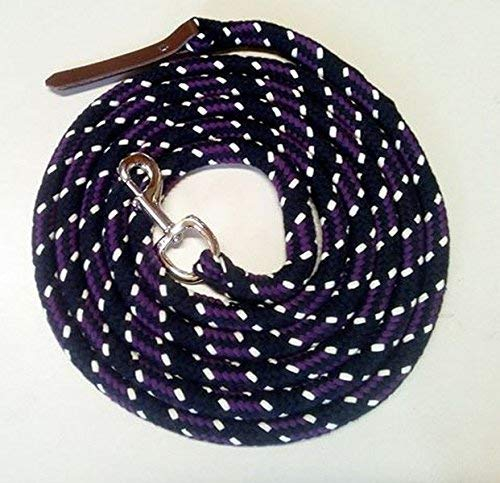 Pferdeseile_DE Bodenleine/Arbeitsseil schwarz-BlackBerry-Natur 4,00 mtr mit Karabiner und Lederklatsche