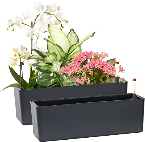 GardenBasix Längliche, selbstbewässernde Pflanztöpfe, 2 Stück, Fensterkasten, 14 x 40,6 cm, für Innenbereich, Haus, Garten, moderner dekorativer Topf für alle Zimmerpflanzen, Blumen, Kräuter