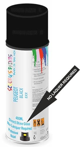 SCOOBYS PAINTS BACK IN THE MIX Direct Gloss Aerosol Spray Paint For Peugeot Black Code: Exx No Lacquer Required