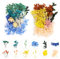 2 BoxenTrockenblumen Gepresste Blumen Gemischte Natürliche Getrocknete Blumen Blau Mini Trockenblumen Bunt für Epoxidharz Anzug für Basteln DIY-konservierte Blumen Scrapbooking Karten Machen Deko
