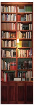 Adesivi per frigorifero per coprire porte piene 3D libreria, adesivo per porta del frigorifero, adesivo professionale in vinile 60 x 150 cm