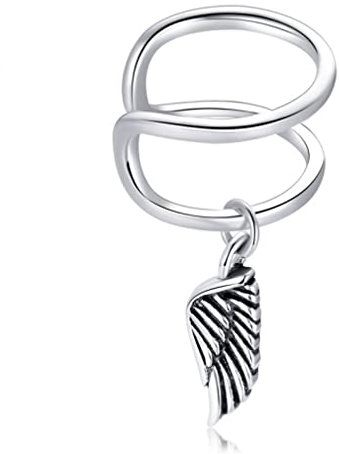 1 pièce de Coquille d'abe