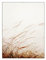 ABCWARRT Tropische Wüstenlandschaft Natürliche Heu Poster Wandkunst Leinwand Malerei Reed Sea Bilder Für Wohnzimmer Wohnkultur (40 * 60cm Kein Rahmen,3)