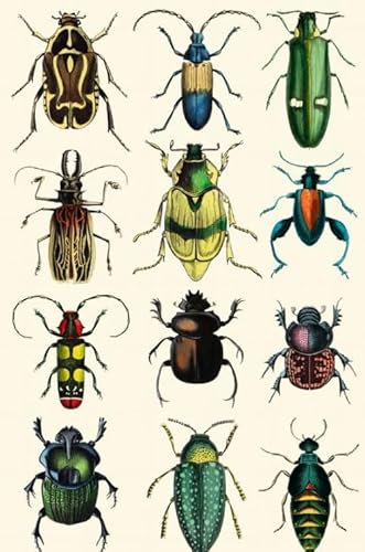CYQFEZ Puzzle 1000 Teile Insekten Tiere Retro Poster Jigsaw Holzpuzzle Home Stressabbau Spiel Pw139Xe