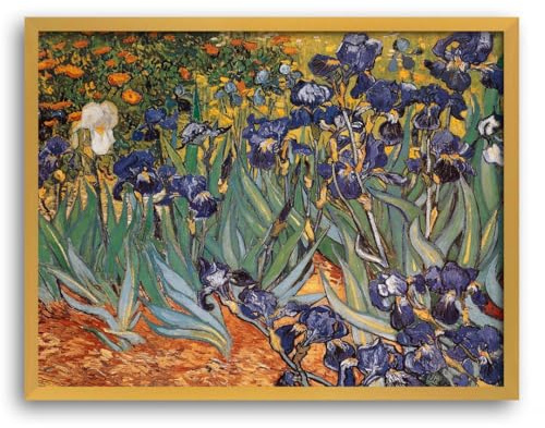 Vincent van Gogh Kunstdruck Iris – Wandbild im Impressionismus-Stil – 50x70 cm – Kunst auf Rückwand mit kräftigen Farben – inkl. Rahmen in Gold schlicht (54x74 cm)