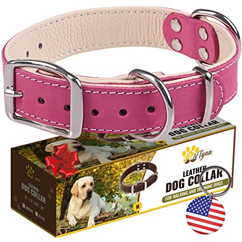 ADITYNA Collier robuste en cuir rose pour chiens de taille moyenne - Doublure en cuir souple - Collier pour chien fille pour la marche, le dressage et la randonnée