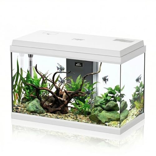 AQPET Acquario in Vetro per Pesci Tropicali Completo di Accessori Filtro Luce Simply, 60 59x30x39 cm 60 Litri, Bianco