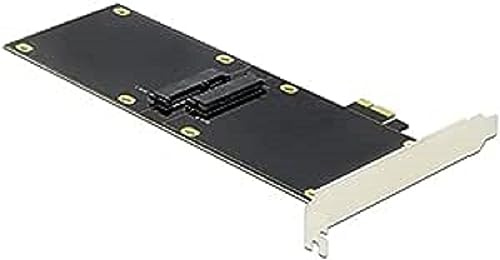 DELOCK PCIe x1 Karte für 2X SATA HDD/SSD