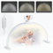 Lampada Extension Ciglia, 42W Half Moon Light per Ciglia con Porta Cellulare, Lampada da Scrivania, Lampada da Tavolo per Unghie da Tavolo per Ciglia, Viso, Tatuaggio, Estetista (Bianco, 29)