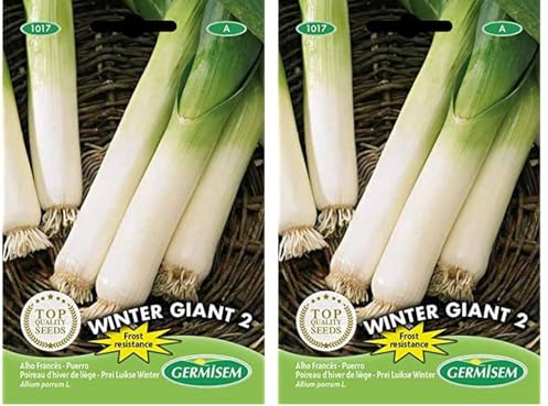 Germisem Winter Giant 2 Semillas de Puerro 4 g (Paquete de 2)