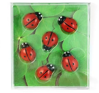 Kraftheld | 6er Set Deko-Magnete Ladybug | Marienkäfer-Magnete, Glück | bunt, dekorativ, farbenfroh | Kühlschrankmagnete in Form von Tieren | Magnet-Deko als Geschenk