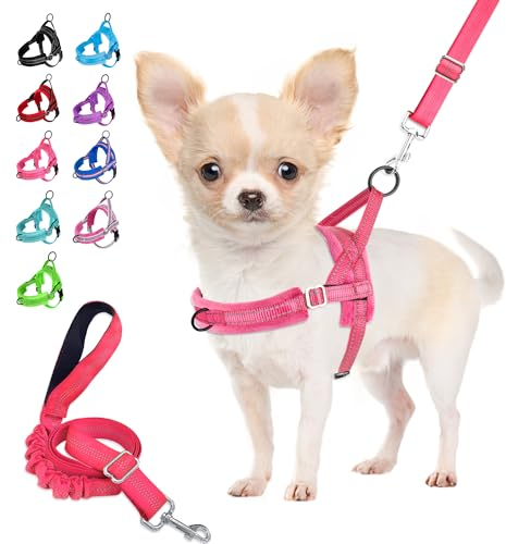 Eyein Hundegeschirr mit Leine für mittelgroße Kleine Hunde, Weich gepolsterter No-Pull Brustgeschirr mit 2 Leinenclips, Leichtgewicht Reflektierend Geschirr Hals und Brust verstellbar (Rosa, M)