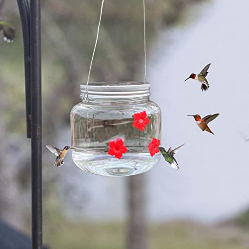 Arestory Mason Jar Hummingbird Feeder - Portable Hummingbird Feeders for Outdoors Hanging, Clear Reservoir Design Fluid Flower Bird Feeder Hummingbird Feeder for Garden Yard Decoration (500ML)