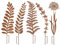 Kobolo Gartenstecker Gartenschild GRESS Gartendeko in Rostoptik 5-er SET - Dekorative Gartenschilder in ansprechender Rostoptik, ideal für den Außenbereich. Setzt stilvolle Akzente in Ihrem Garten.