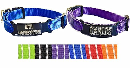 2X personalisiertes Katzenhalsband personalisiert mit Name graviert Katze Halsband reflektierend Leuchtend aus Nylon mit Glöckchen (Lila und Blau)