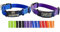 2X personalisiertes Katzenhalsband personalisiert mit Name graviert Katze Halsband reflektierend Leuchtend aus Nylon mit Glöckchen (Lila und Blau)