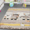 TT Home Kinder Teppich Bauernhof Design Lustige Tiere Kinderzimmer Teppiche Beige Creme, Größe:200x290 cm