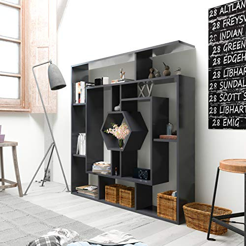 DECOROTIKA 53 Labirina Geometric Bookcase for Home & Office (Black)