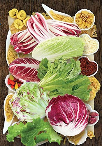 NIKA SEEDS - Seeds Vegetable Lettuce Radicchio and Endive Mix - 700 Seeds
