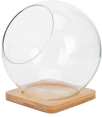 Cabilock Glas Pflanzen Terrarium Glasterrarium mit Tablett Hydroponik Vase Glasvase Kaktus Blumentopf Glasschale Sukkulenten Topf Blumenvase Biosphere Pflanzgefäß Moos Bonsai Schale