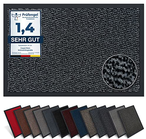 Carpet Diem Fußmatte, einfach sauber I Schmutzfangmatte Eingangsbereich - Fussmatte Innen & Außen, rutschfeste Türmatte, Schmutzfang Teppich für Haustür I Fußabtreter in Hellgrau-Schwarz 40x60 cm