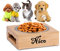ESTART Gamelle personnalisée pour animal de compagnie, gamelle pour chien/chat avec nom, station d'alimentation surélevée avec nom et texte, adaptée pour chiot et chat (1 gamelle)