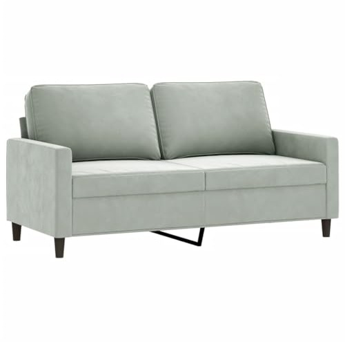 vidaXL Sofa 2 Sitzer, Couch für Wohnzimmer, Polstersofa mit Metallgestell, Loungesofa Zweisitzer Wohnzimmersofa Wohnzimmermöbel, Hellgrau Samt