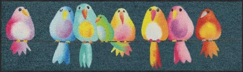 Salonloewe Fußmatte Rainbow Birds 030x100 Schuhparkplatz