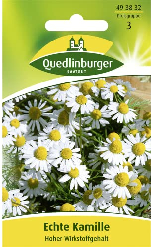 Echte Kamille Hoher Wirkstoffgehalt (Matricaria chamomilla) -