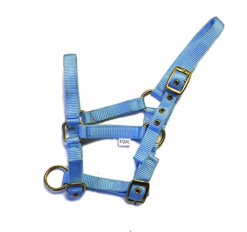 Rhinegold 0 Nylon Foal Headcollar-Baby Blue Halfter für Fohlen, Babyblau, Einheitsgröße