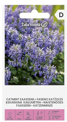 Zalia stotele | Katzenminze - FASENO samen | Blumensamen | Mehrjährige, Sie benötigt keine besonderen Bodenverhältnisse | Katzenminze samen | Pflanzensamen| Gardensamen | 1 Pack