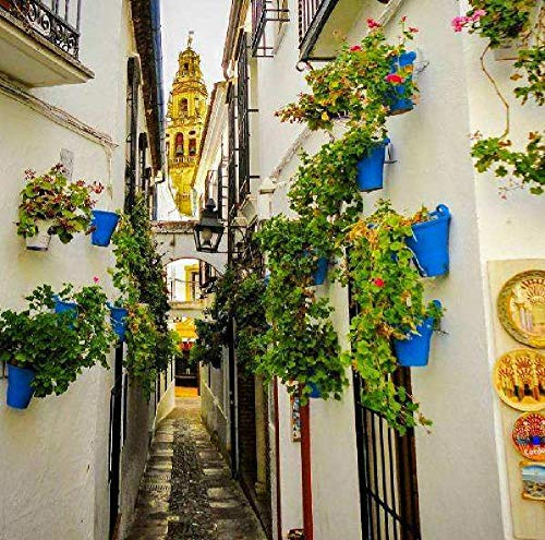 SHILIHOME Paisaje de Córdoba España Pintura por números DIY Único