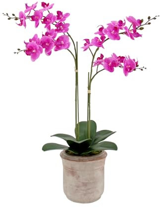 CG Hunter Faux Pink Orchid Plant, Premium Artificial Indoor Flower Display Stands 24”, Beautiful Sculptural Blooms That Lasts Forever, Grey Planter Pot Included