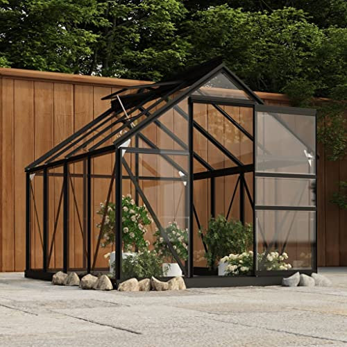 Tidyard Remplacement de Verre de Serre 16 pcs Verre trempé