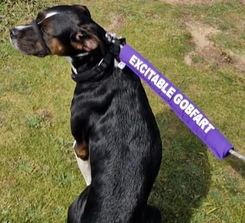 Personalised Dog Lead Sleeve, custom text, printed on both sides, up to 24 characters. yellow, pink, red, blue, black, purple, green (black)