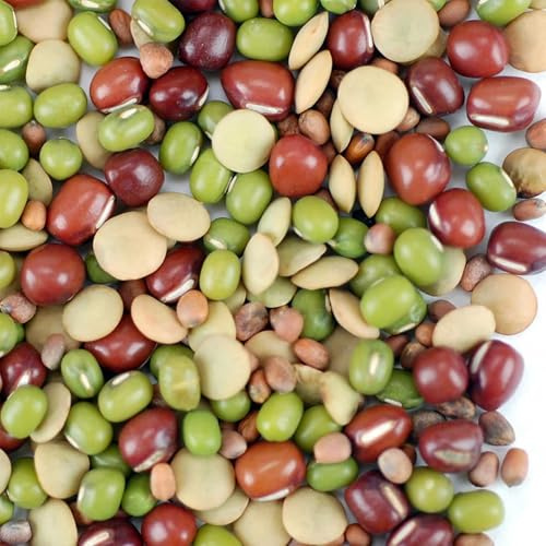 Organic Bean Salad Sprouting 8 Oz ~8,000 Seed Mix – Non-GMO, High Germination – Adzuki, Mung, Green Lentil, Daikon Radish – Crunchy, Nutty Sprouts in 2–4 Days – 1,000 Seeds/Oz – Bulk Available