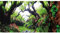 Hobby Fotorückwand Green Dream/Wooden Sky - 120 x 50 cm